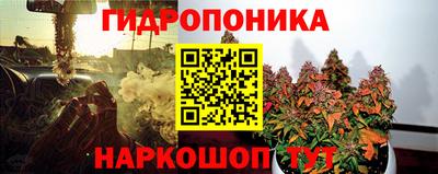 мяу мяу мука Будённовск