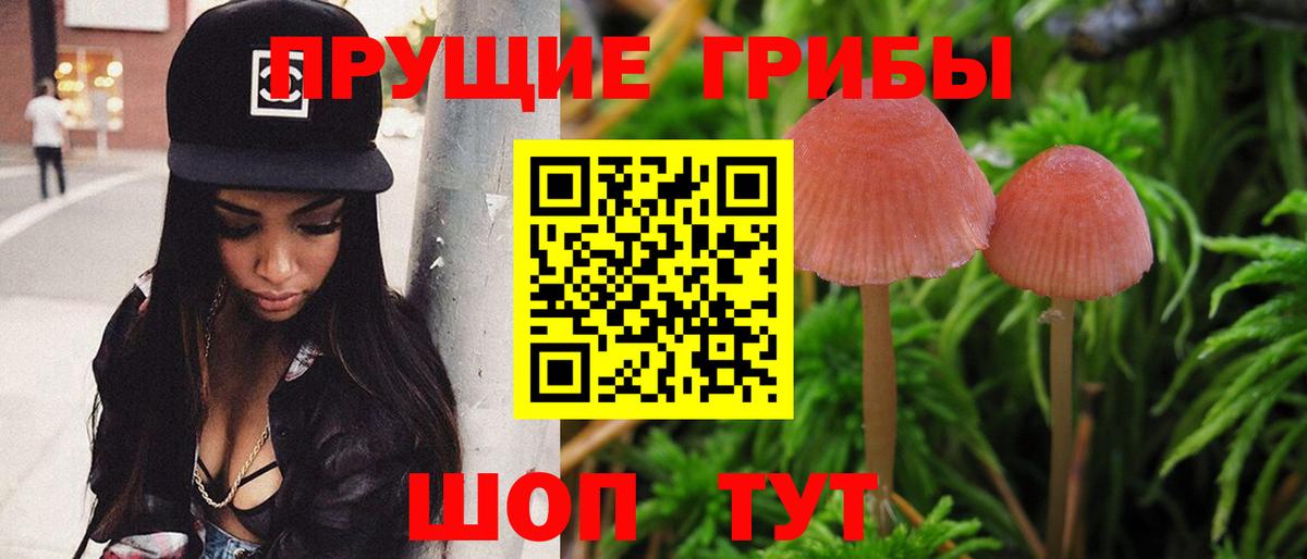 Псилоцибиновые грибы мицелий  Вход с VPN  Краснокаменск 