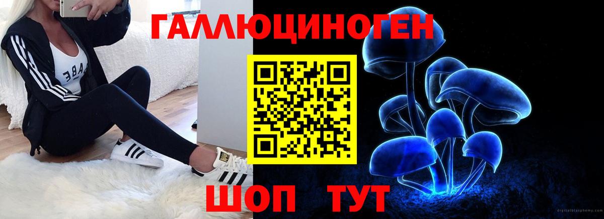 Галлюциногенные грибы Cubensis Краснокаменск